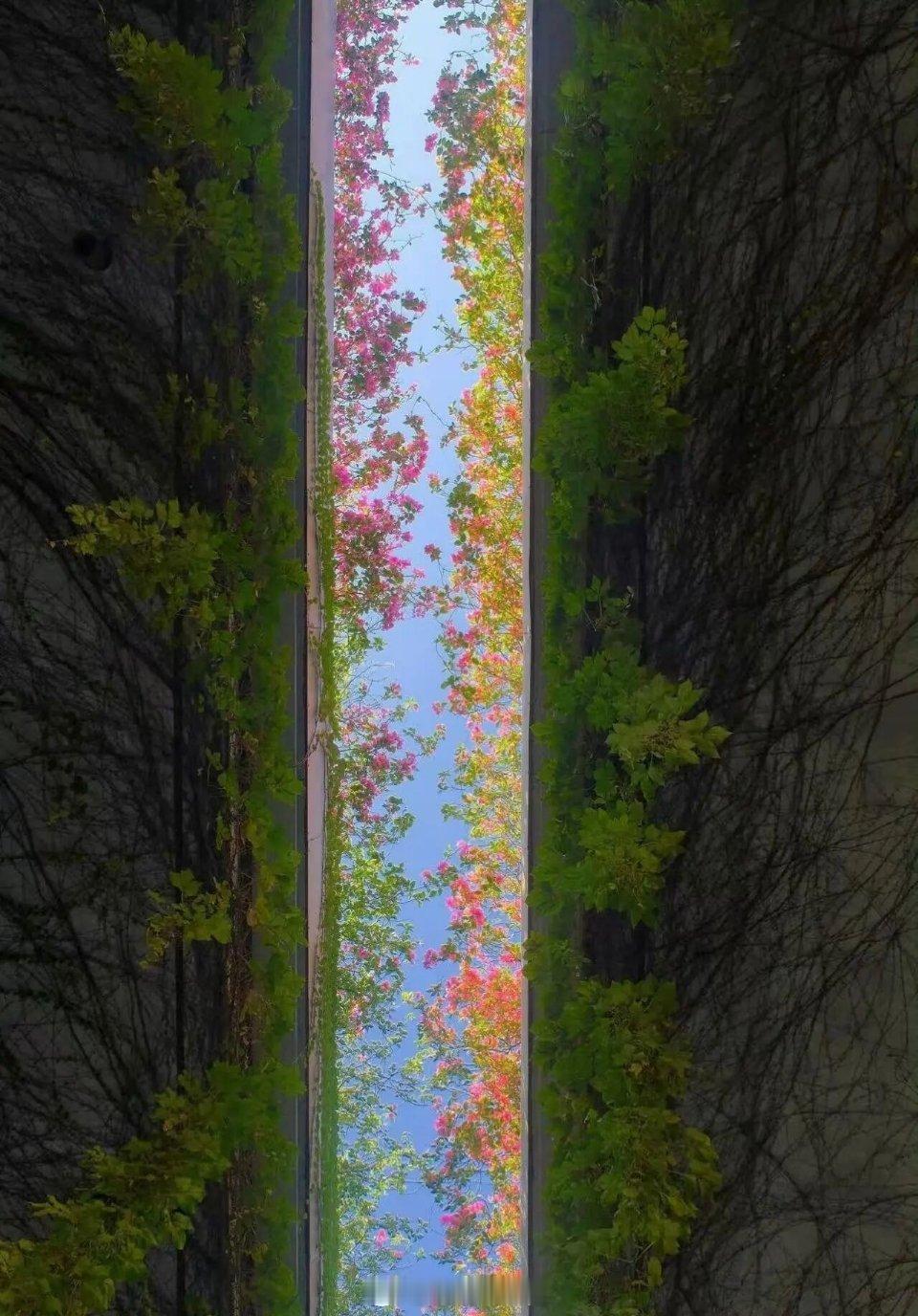 有时候，一份微小的善意，就能拉别人一把；一句暖心的话语，就能让人走出低谷；一声真