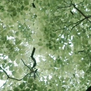 每日一善‎每日一善 ‎阳光‎信用 没有谁的幸运，是凭空而来，只有当你足够努力，你