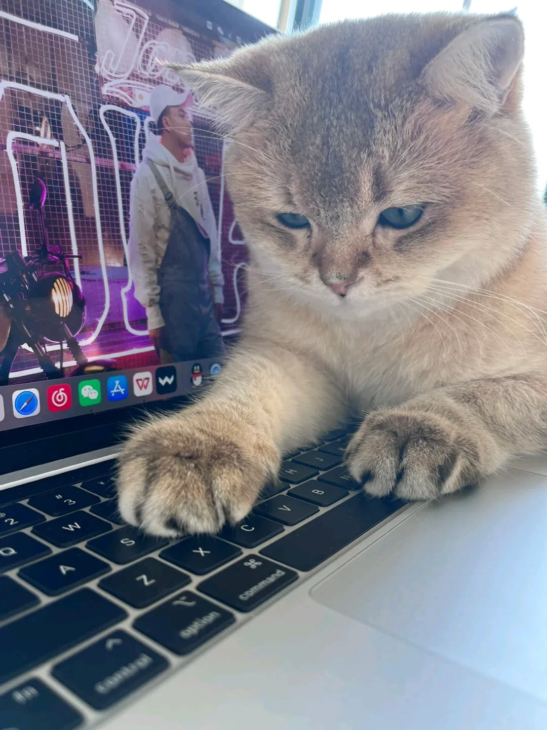 工作上的绊脚石，就喜欢各种捣鼓，都喜欢探查一番，各种疑问好奇，有时候看着傻傻的麻