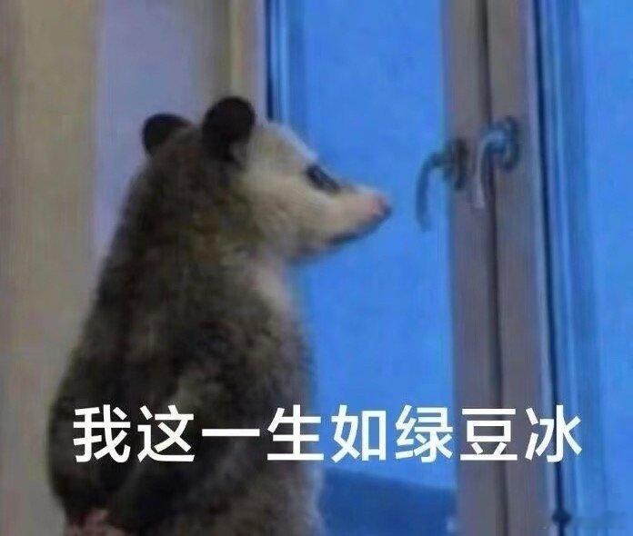 “到时候再说。”“看情况。”已经成为我的高频句式。它绝不是敷衍，而是我真实的答案