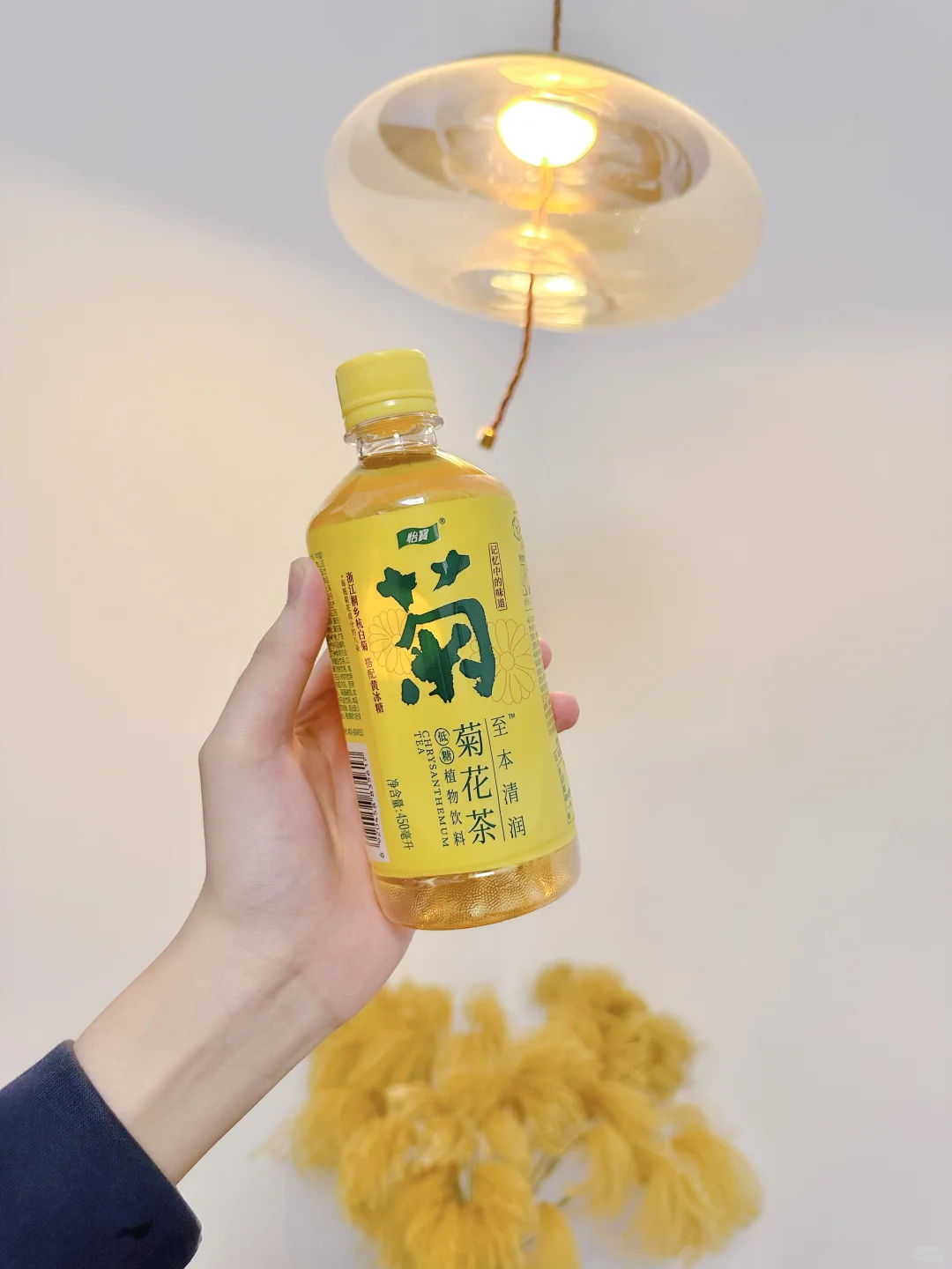 吃火锅的绝佳CP | 菊花茶饮料🥤