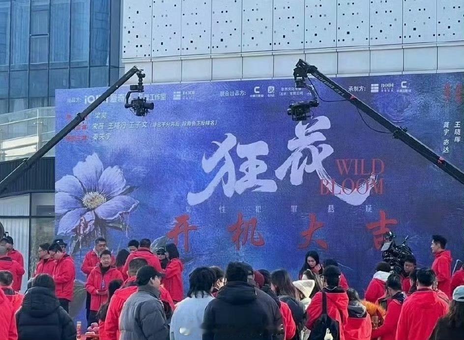 狂花番位宋茜王珞丹王子文的番位 宋茜王珞丹王子文狂花番位，按角色正反排名是什么番