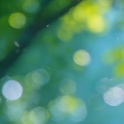 日行一善 努力和收获都是自己的，与他人无关。始终相信一句话：只有自己足够强大，才