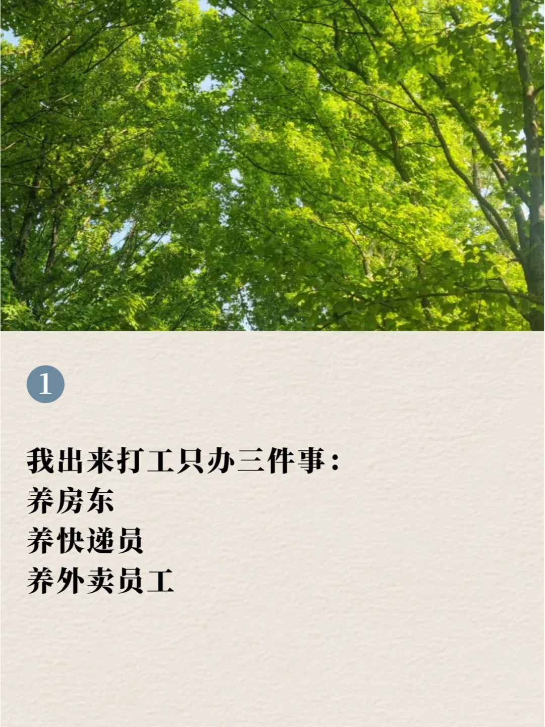 ✨有趣又好笑的日常解压搞笑句子~