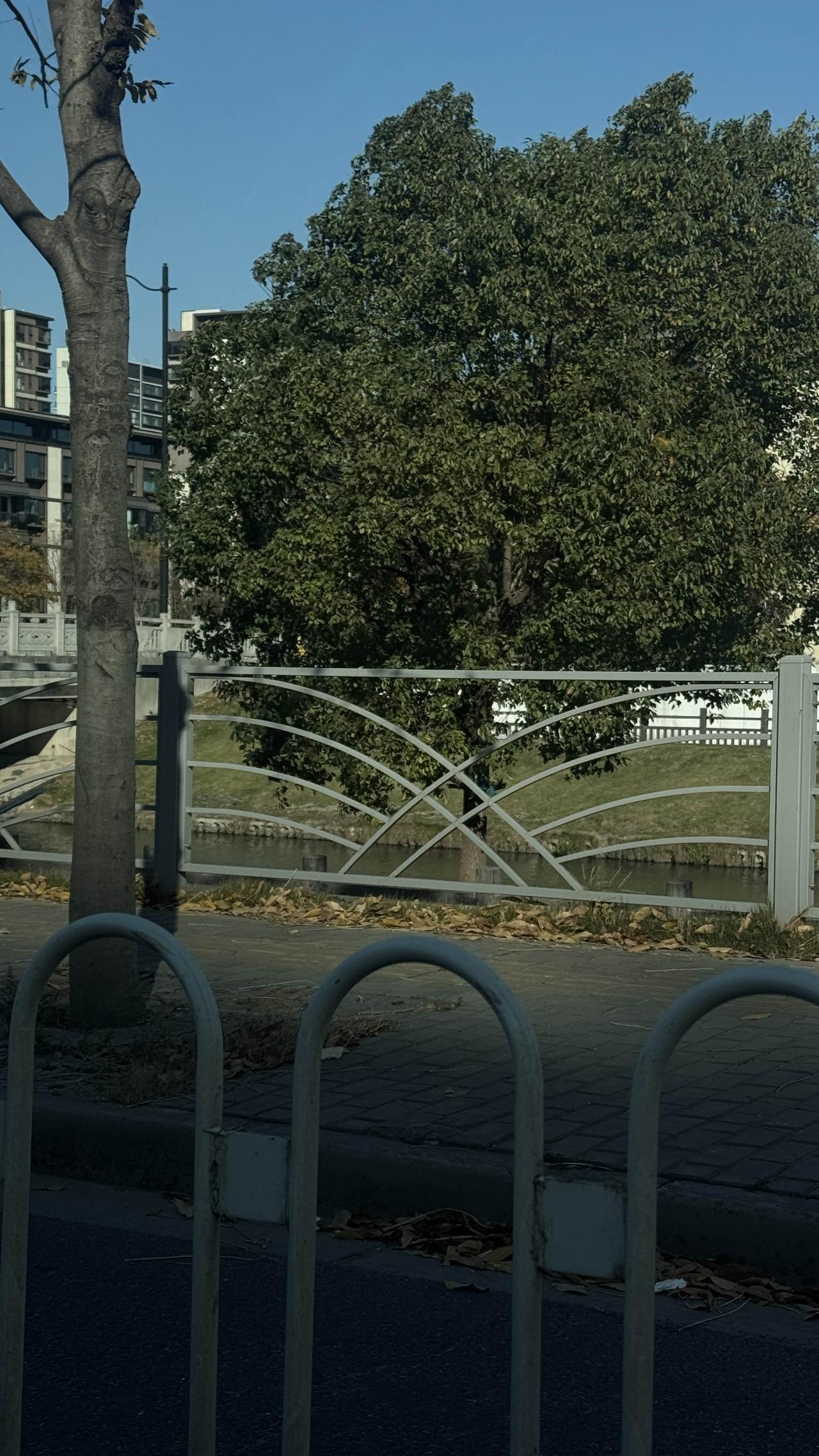 不如意时，就去菜市场看看

人生过半才明白，治愈生活的良药不在远方，而在清晨六点