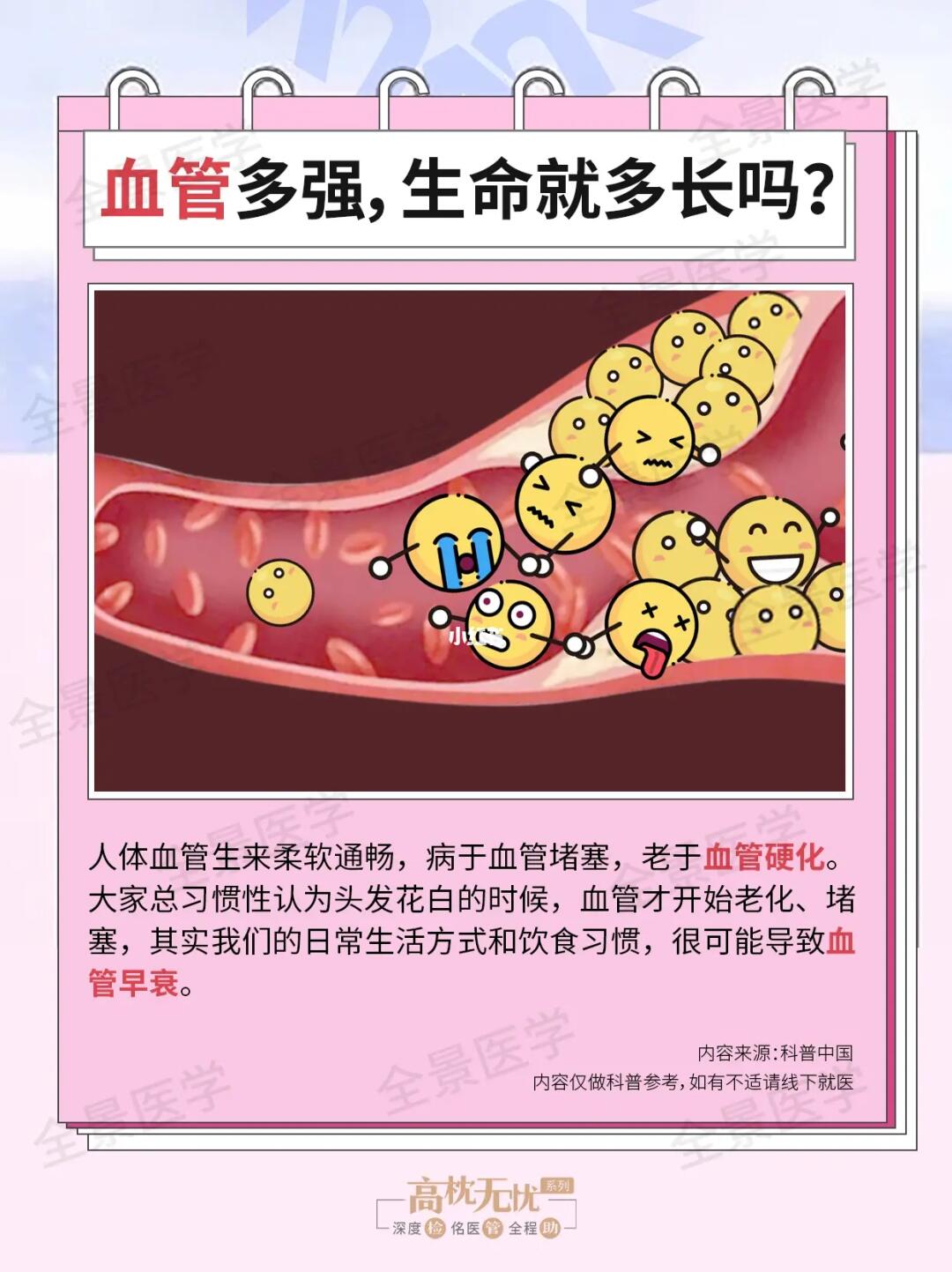 血管多强，生命就多长！真是这样吗❓