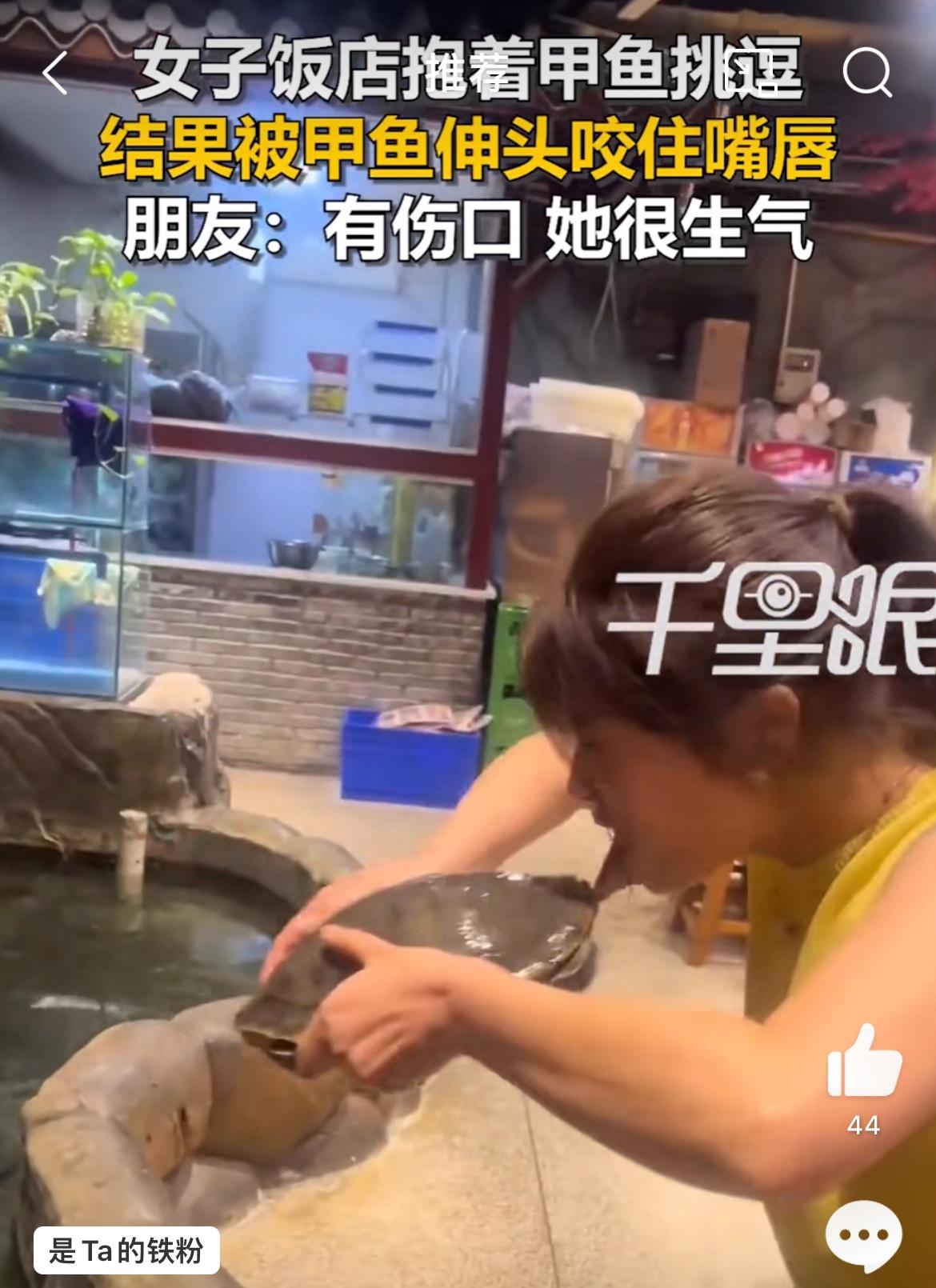这明明是只乌龟，怎么变王八了。看视频女子骚扰乌龟，被乌龟咬住嘴唇，女子拉扯了一下