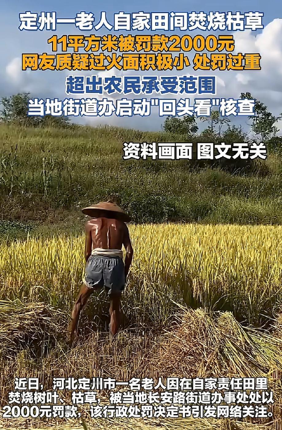 巴掌大一块地，老人烧了11平方米枯草，被罚2000块，这处罚打得是不是太重了？