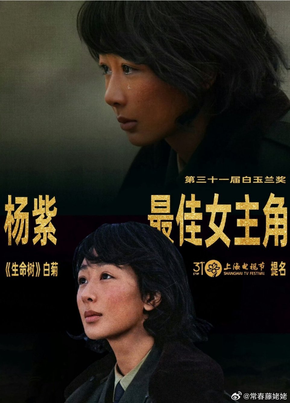 杨紫白玉兰最佳女主角，热巴有金鹰，杨紫有玉兰，你们觉得实质名归吗？ 