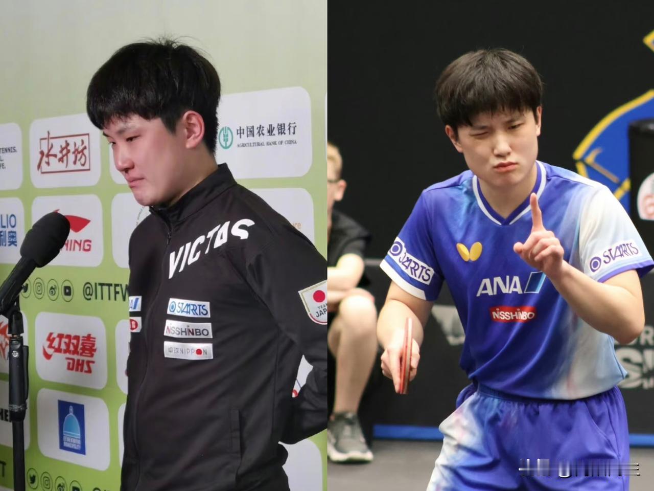 张本智和这次是真的踢到钢板上了，
看着都替他觉得尴尬。

腰弯得再低、道歉的话说