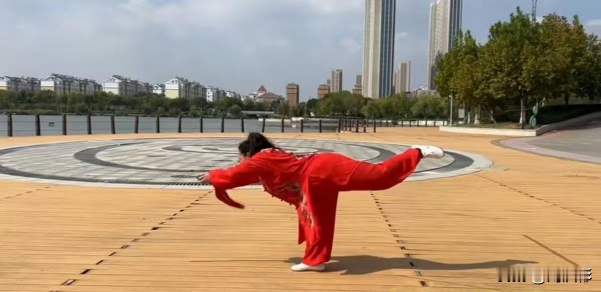 张炳星老师大明湖演陈氏太极功夫一路赞
 
吾师炳星，怀太极真蕴，携功夫一路，临济