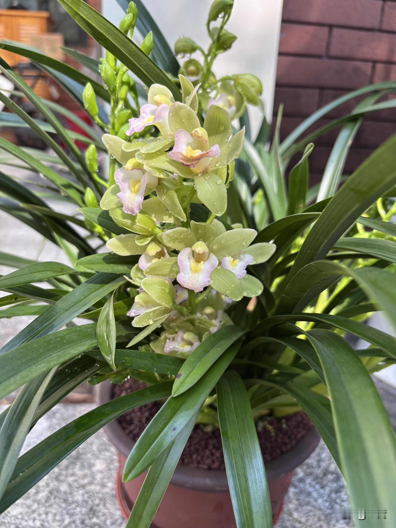 富人买资产，穷人买负债，中产最惨，常把负债当资产。财富差距不在工资、能力，而在每