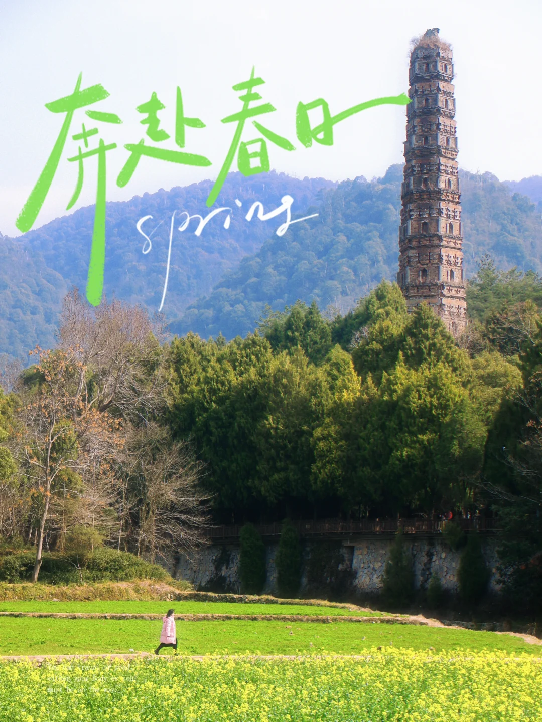 不来国清寺赏花，你将错过绚烂的春天之约