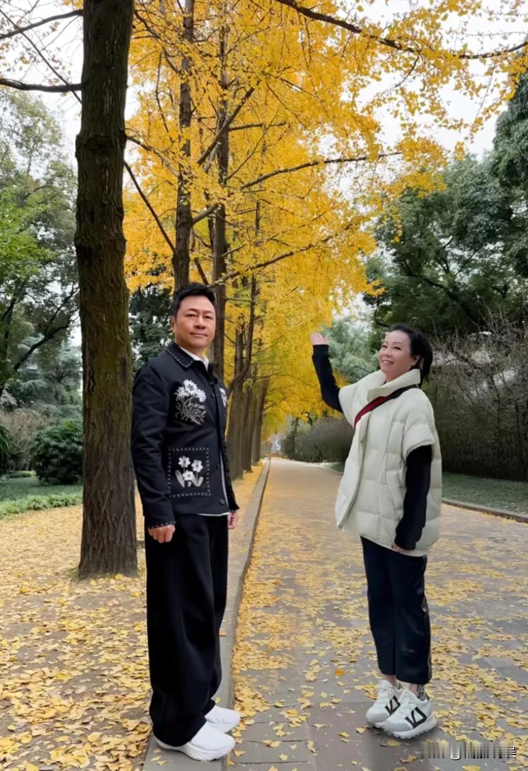 港星黎耀祥，带着老婆现身成都看黄叶，（也就是银杏叶），夫妻俩站在美丽的街头，岁月