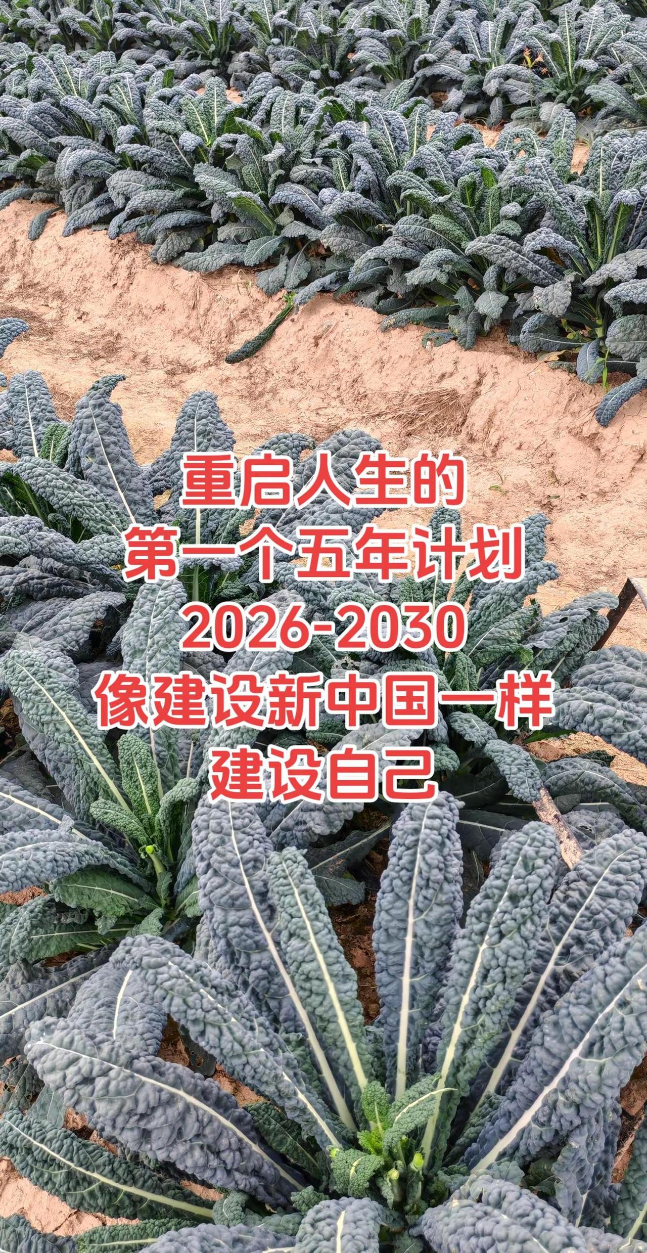 像建设新🇨🇳一样建设自己！2026年计划计划  越来越好的自己在路上
