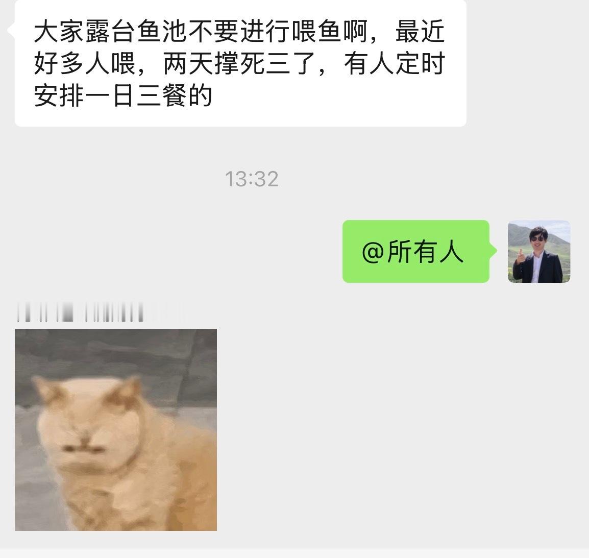 公司养的金鱼，由于过多同事投喂，两天时间撑死3条