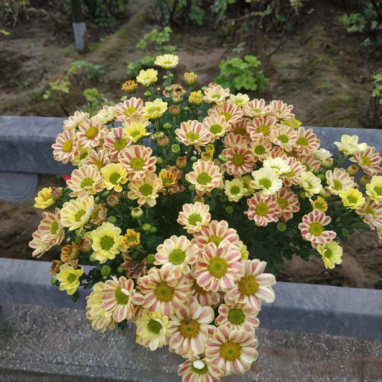我见过双色球中一等奖的人。
他是我们县的一个辅警，中了个一等奖，一注，两倍？
奖