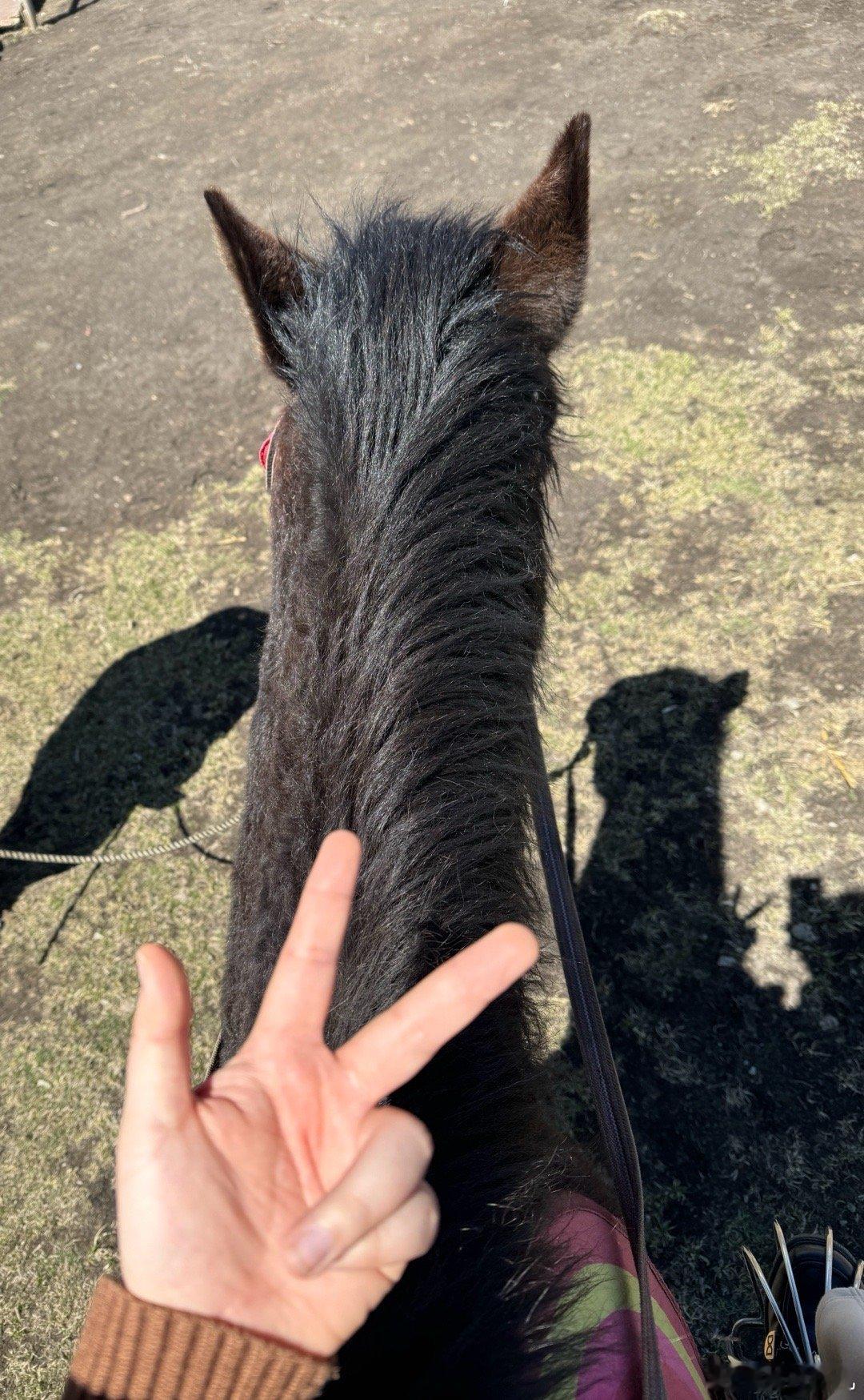 骑马 ​​​