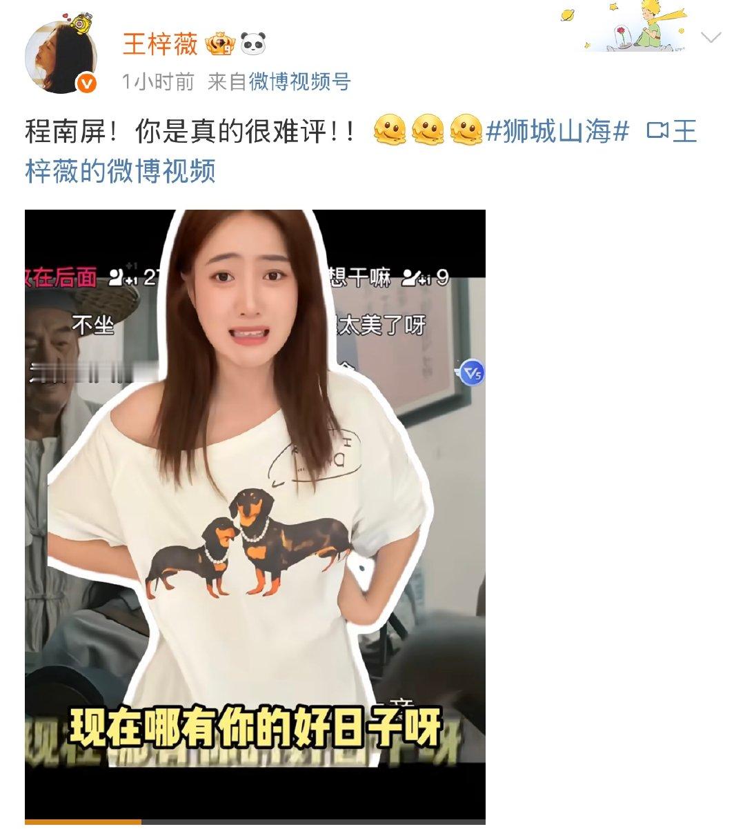 王梓薇说程南屏很难评 宝子们，《狮城山海》给我狠狠码住！程南屏这角色简直“戏精本