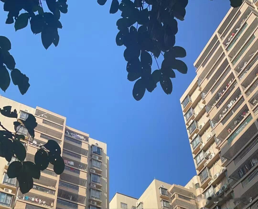 弟弟被陌生阿姨骂，我一个箭步
带弟弟到小区花园玩，随机集结了几个小孩玩警察抓小偷