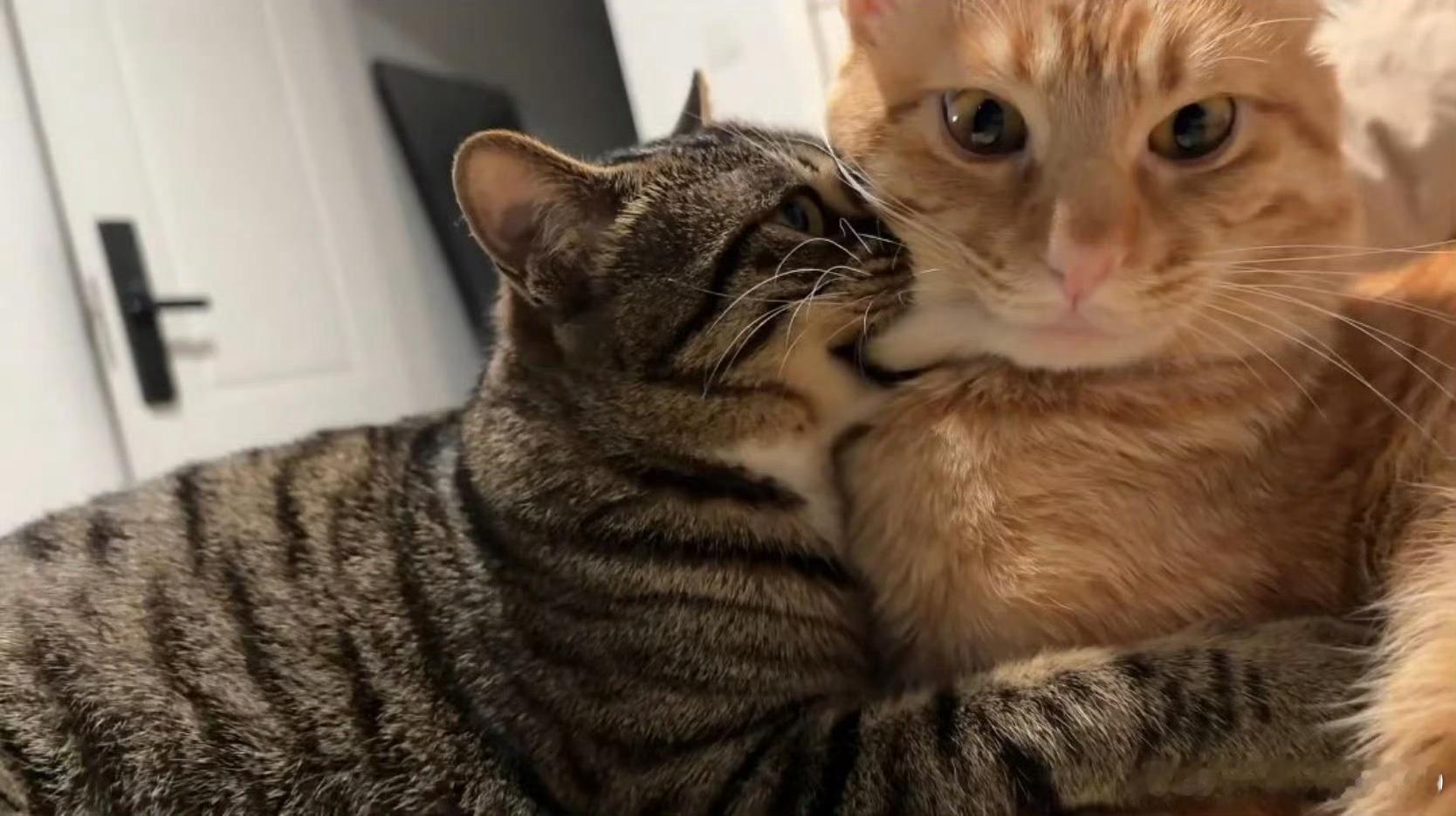 男子为杀发小蹲守两月多次模拟恩生于害，害生于恩：很多时候，过度的恩情、无边界的帮