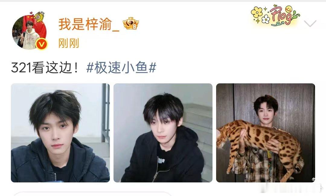 梓渝大鱼体型差梓渝的猫都长这么大了吗？梓渝的猫好大只