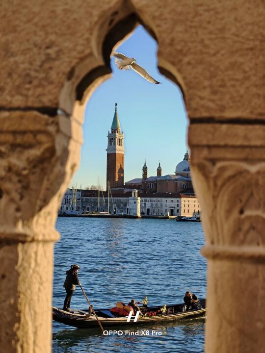 我用手机拍照的这一年｜是Live也是Life！