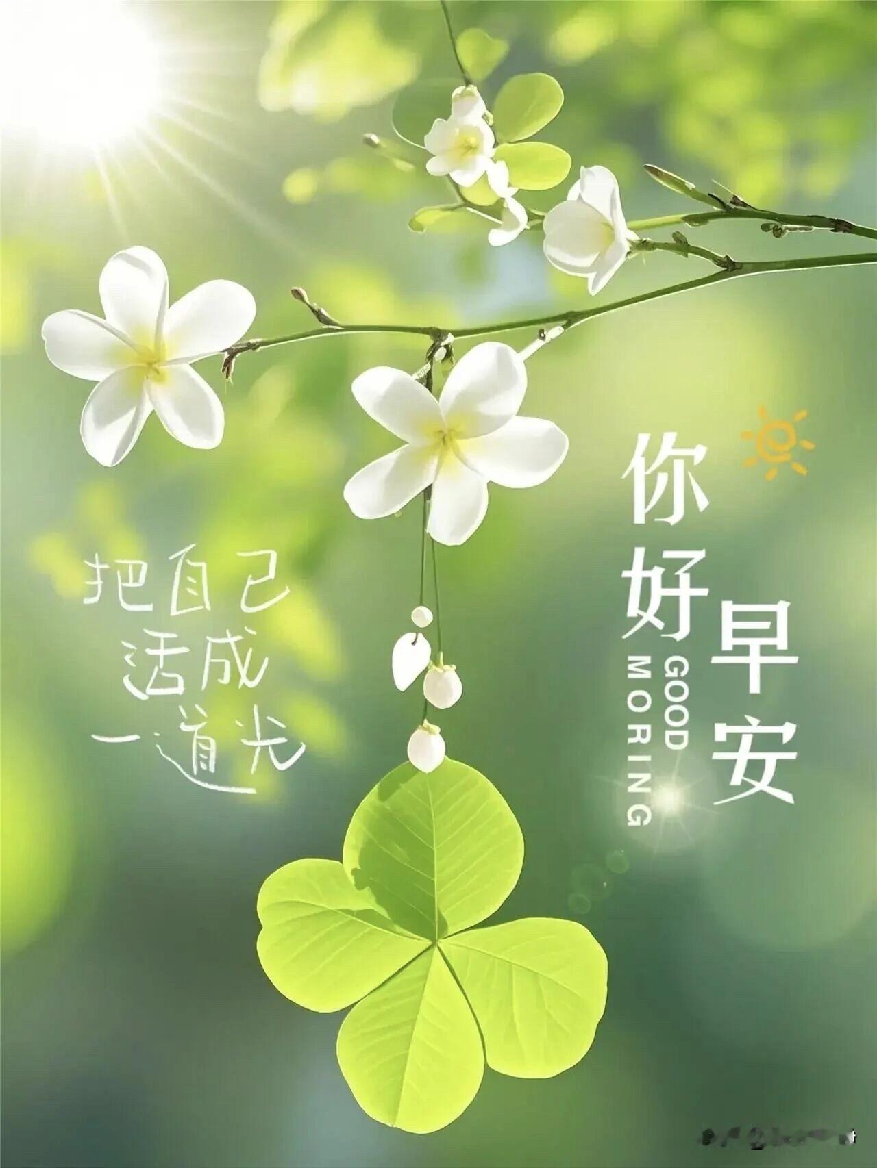 🌼²º²⁶/₀₆.₂₀ᵕ̈ᵕ̈ 周六｜早安☀️🍃🍎🐎
假日慢时光，放宽心