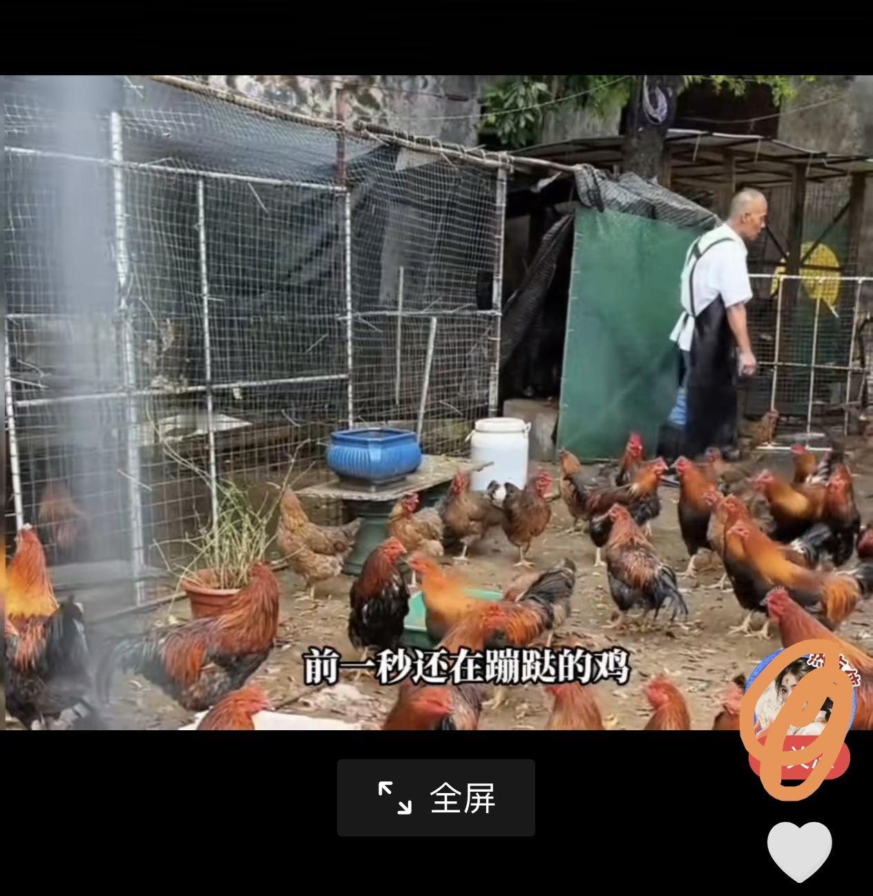 在套路横行的当下，其实流量的终极密码，从来不是精心设计的剧本，而是毫无保留的真诚