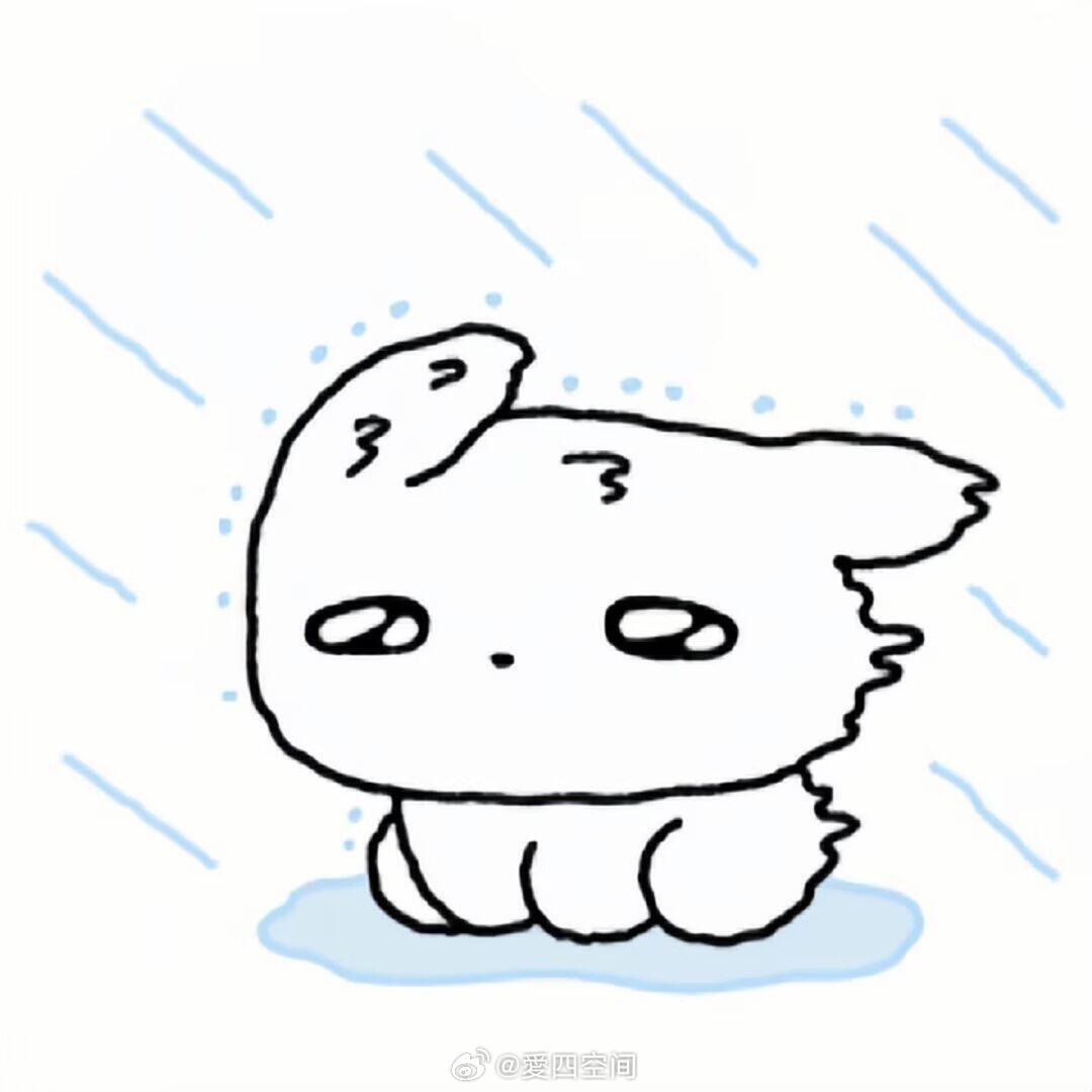 24号刚贴的膜又要换了 明天又要冒着雨出门啊啊😐 