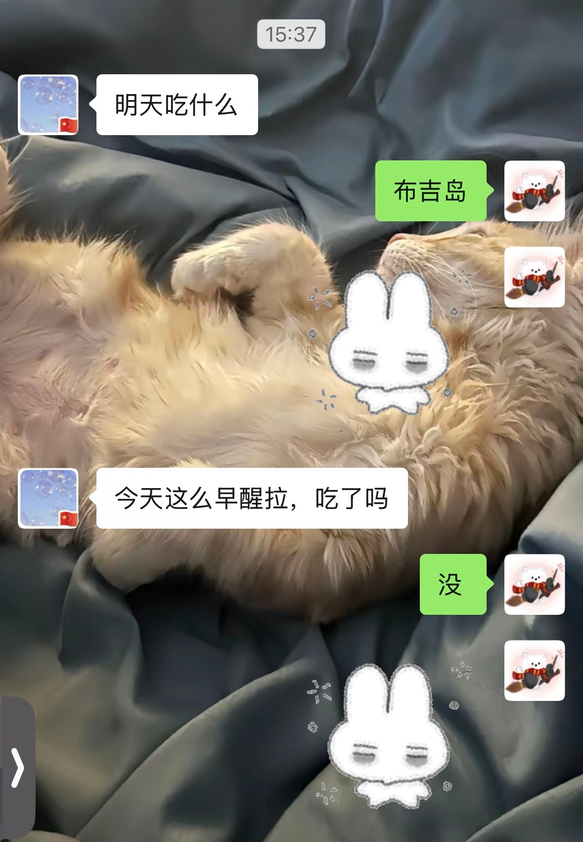 已逐步习惯我的阴间作息 
