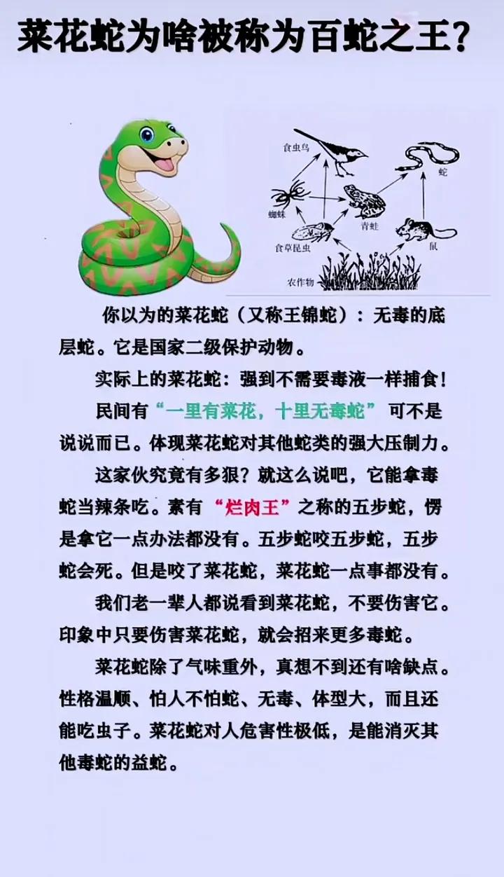 菜花蛇为啥称为百蛇之王