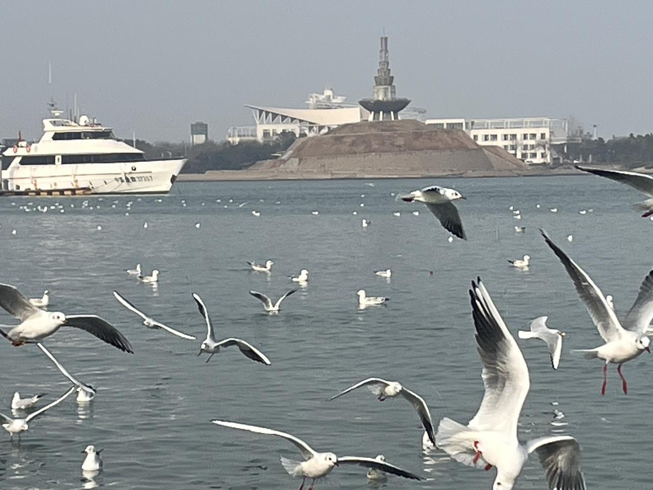 上篇文章没有写也不能写，只是建议降低仓位处理，就是国际社会动荡不安，我判断近期大