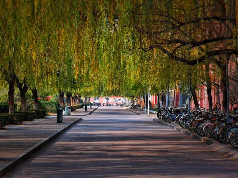 万能生活指南 万能生活指南，让生活更有条理！时间管理上，每天花5分钟列待办清单，