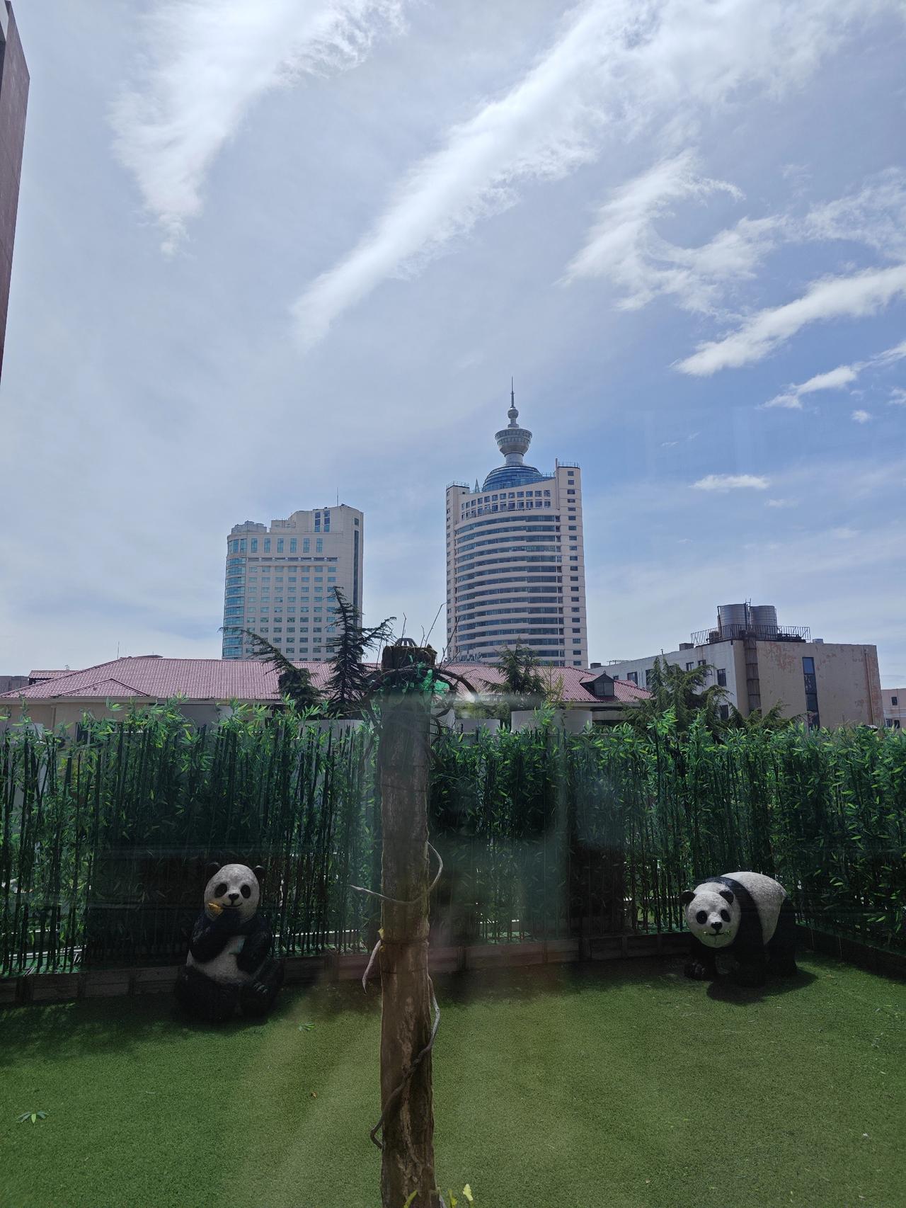 你看过张凌赫演的电视剧吗（4～2）如今的我很少看电视剧，所以也没有看过张凌赫演的