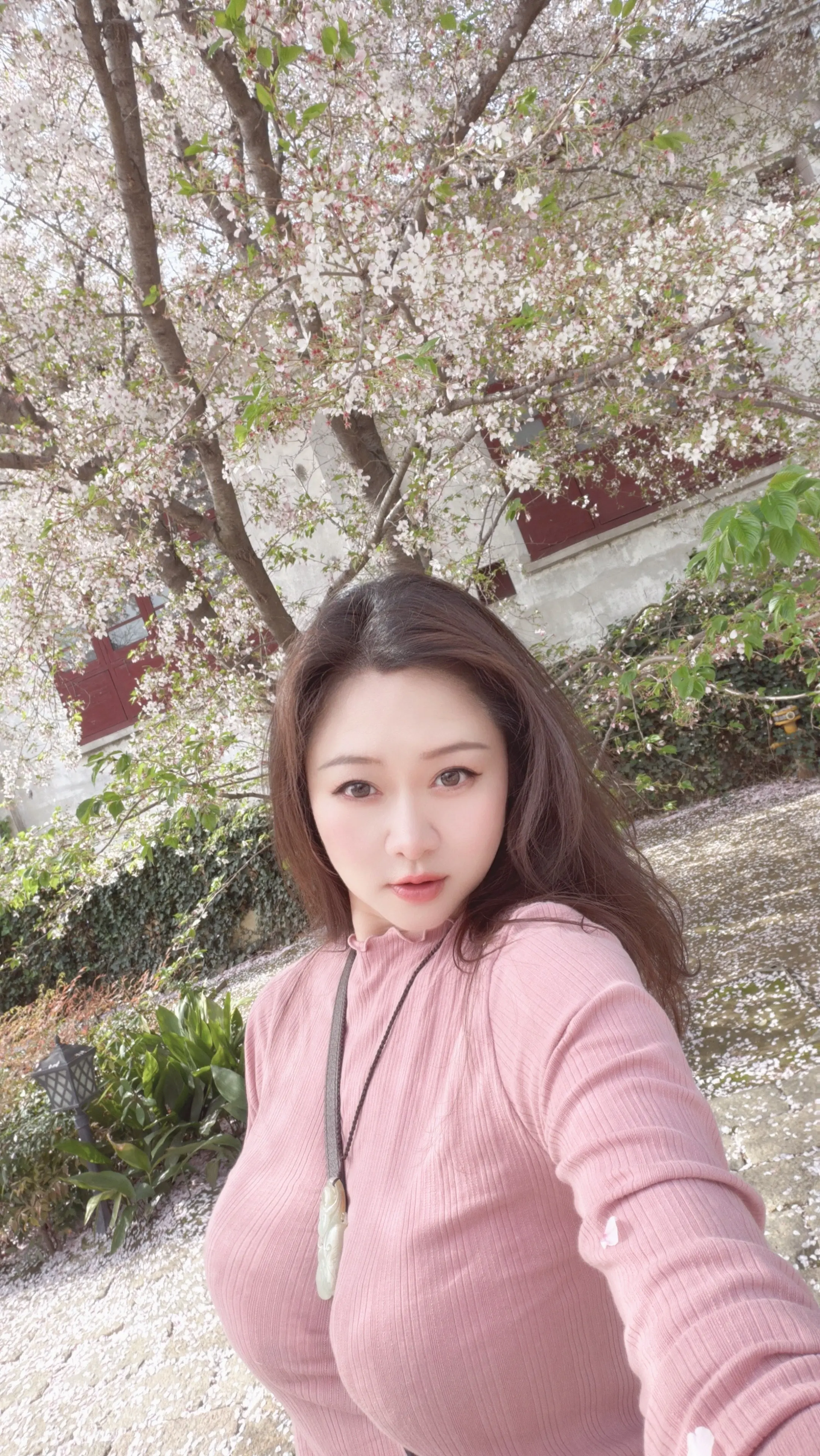 春会来 事会顺 人会好 花会开 风会暖