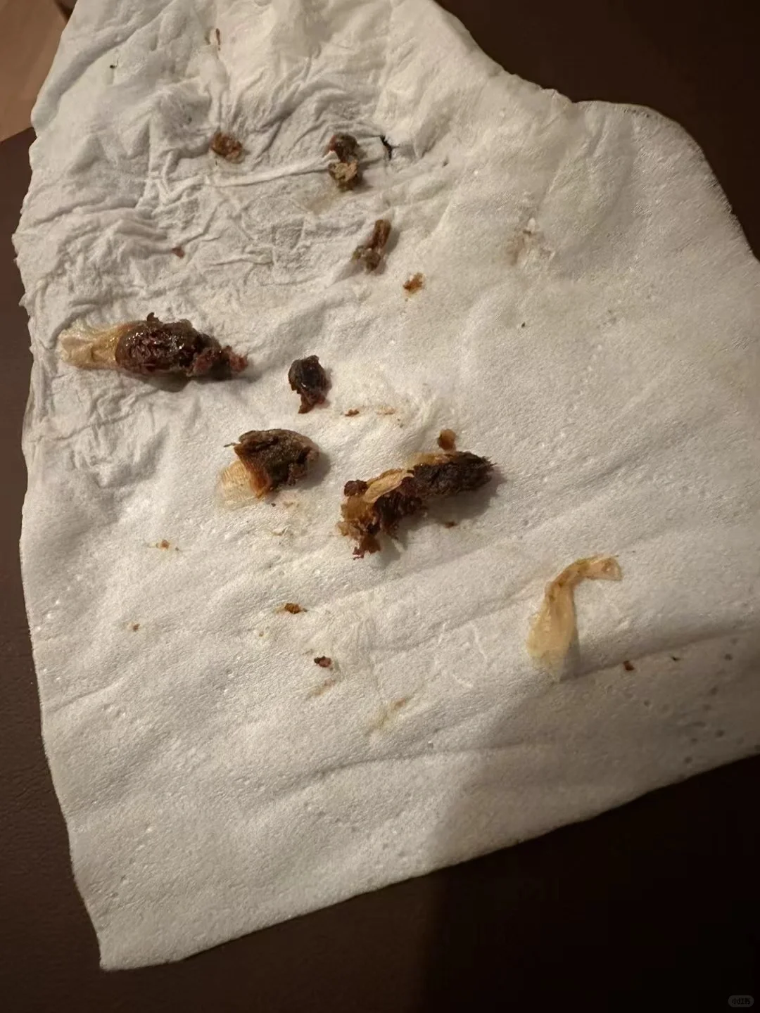 宝贝的耳结石终于好了！！