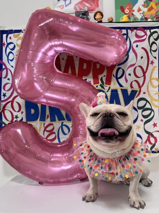 🐽奶球宝5岁啦~