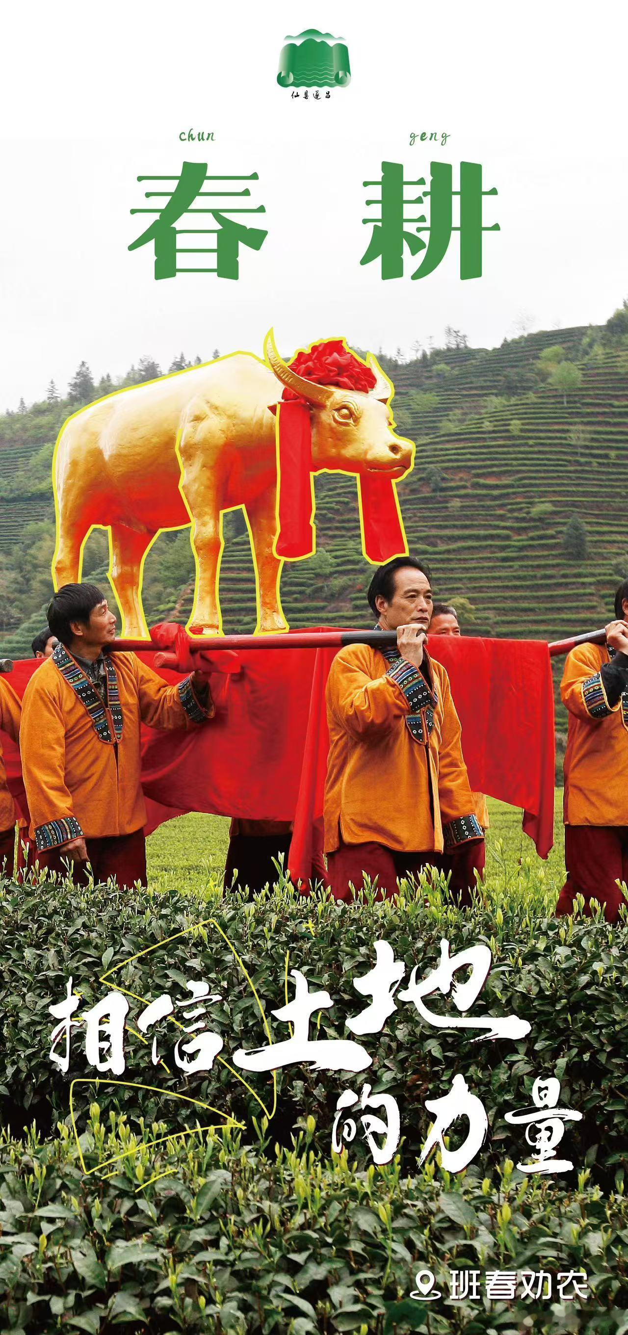 🎇人间烟火处年味正浓时🧨 来遂昌·过大年12月24日，浦东机场见✈️ 