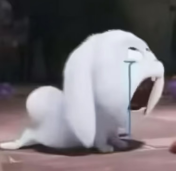分享图片 