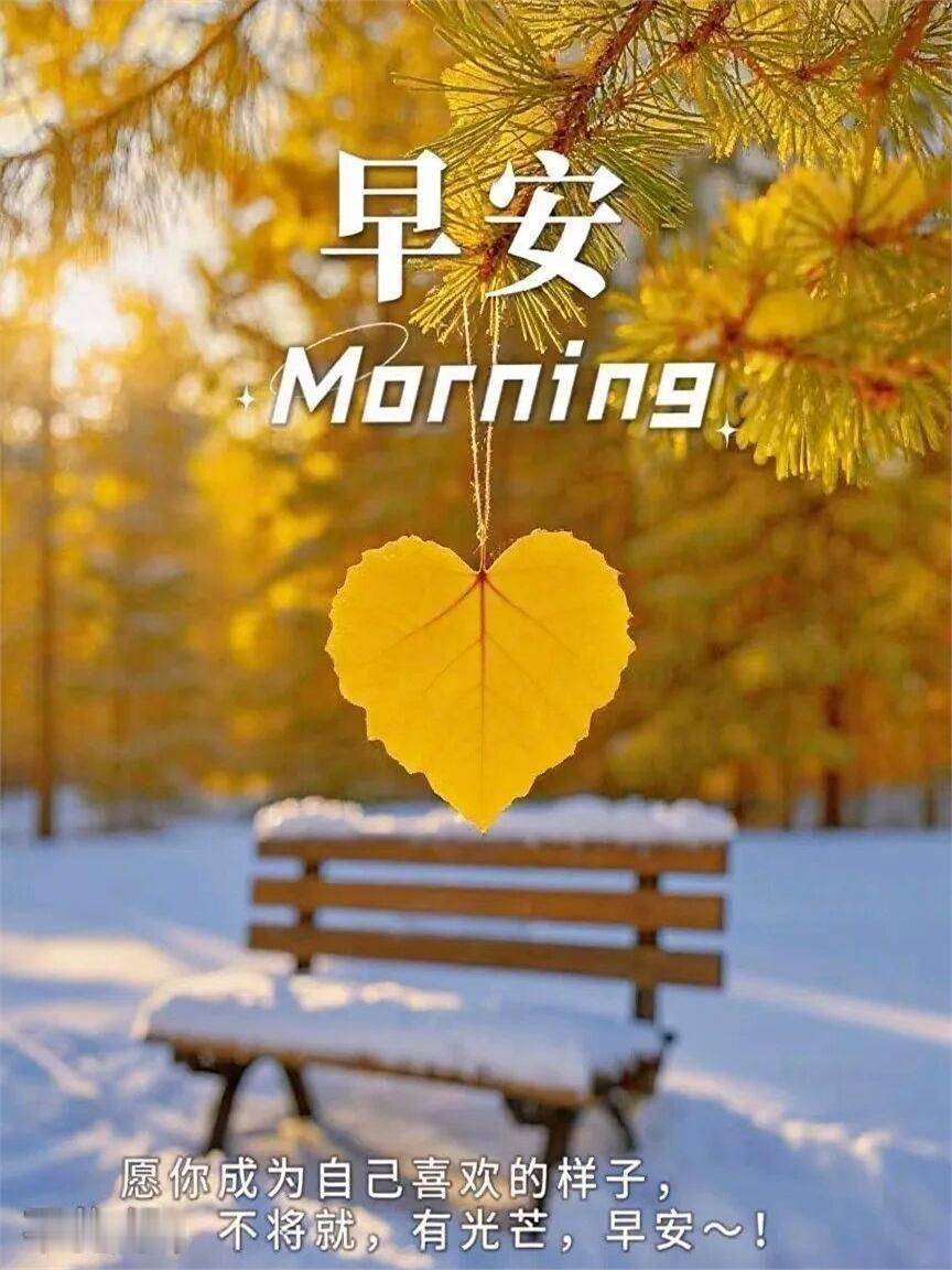 早安 早安不是一句客套话，它更像一种轻轻落地的惦记。 