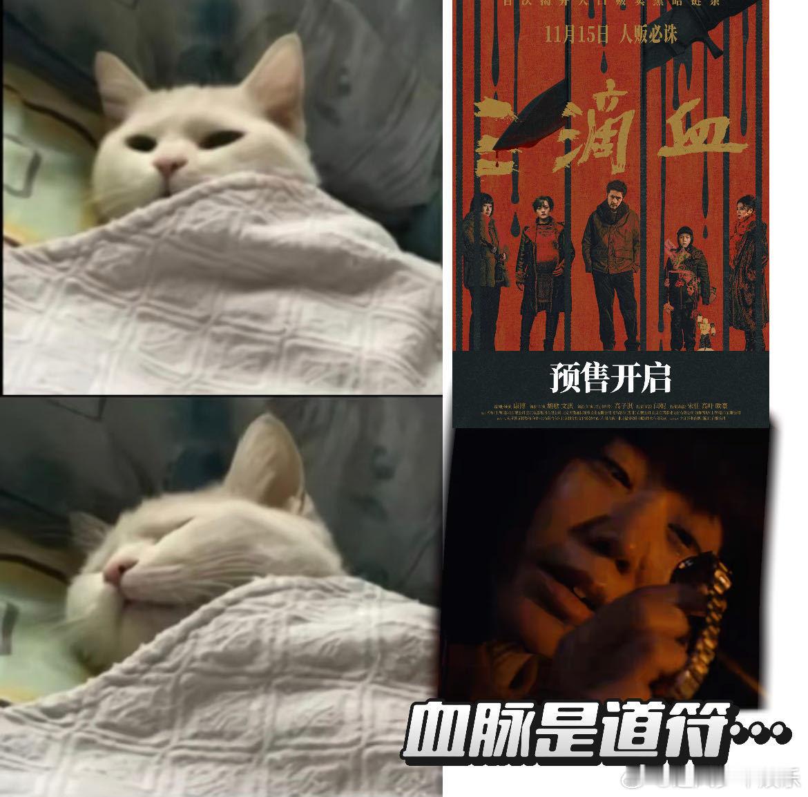 跟朋友聊近期必看电影，电影三滴血预售开启胡歌解读新片三滴血 首推《三滴血》！文淇