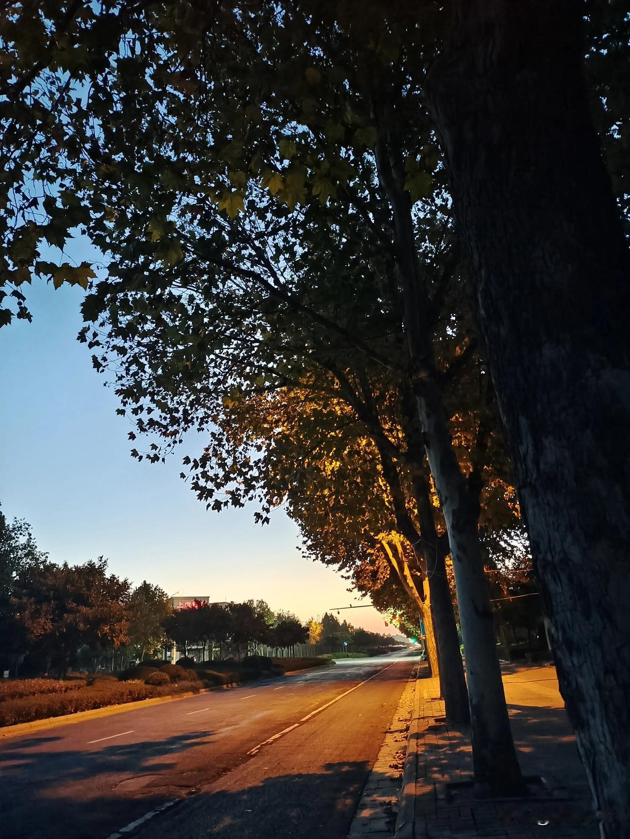 自从我从上街到市区上班，我坐过几次郑上一路，谈谈我的感受吧。
我同事在瀚宇天悦湾