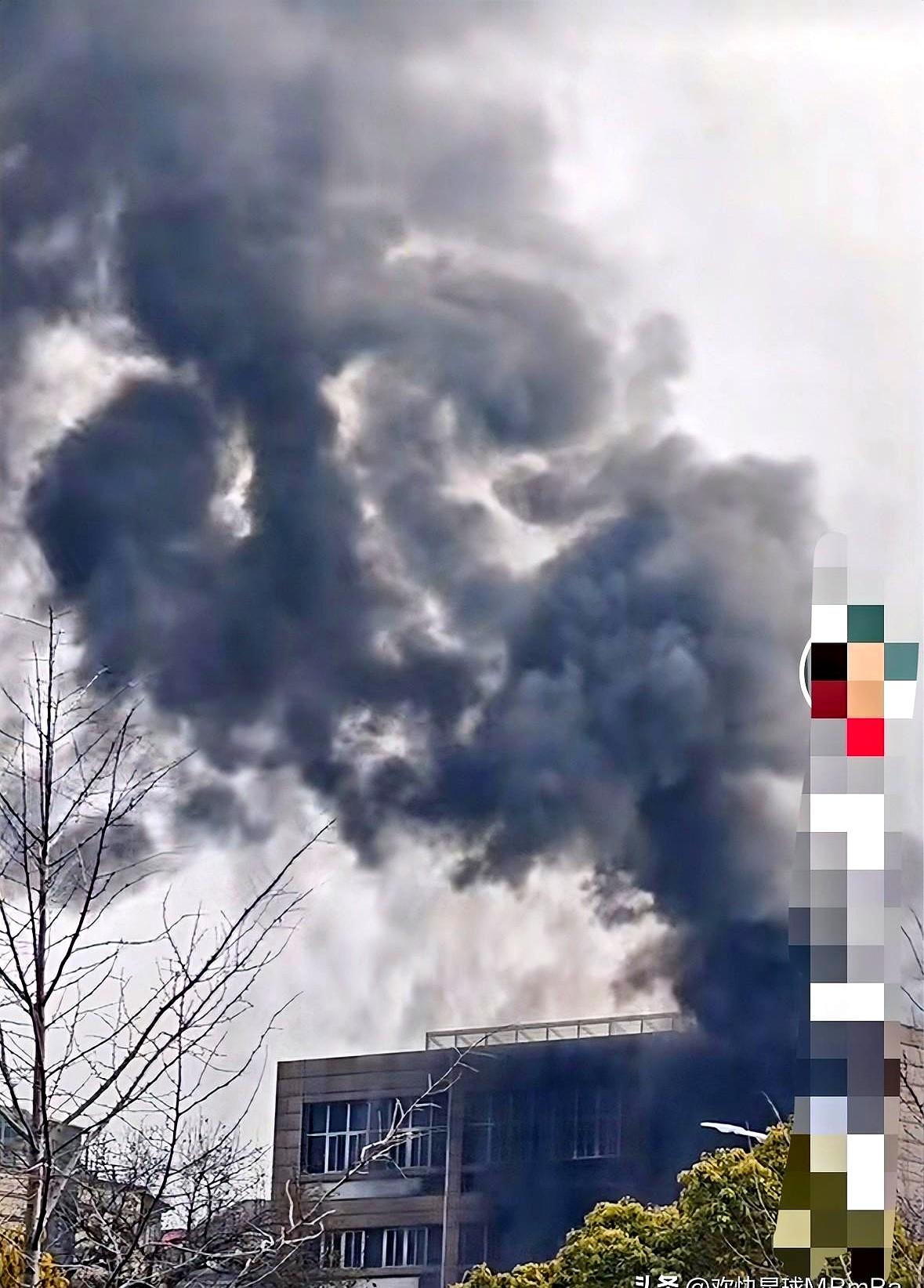 这剧情走的，连最好的编剧都不敢这么写。
前脚南京那批画刚被质疑有问题，后脚一把火