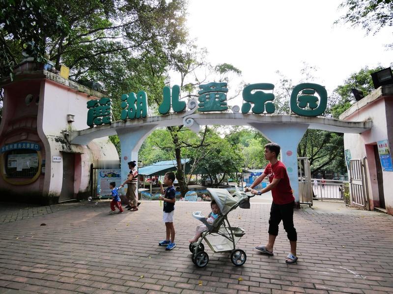 麓湖简直是拍照打卡的宝藏地！广州地铁 11 号线直达，超方便。今年聚芳园的异木棉