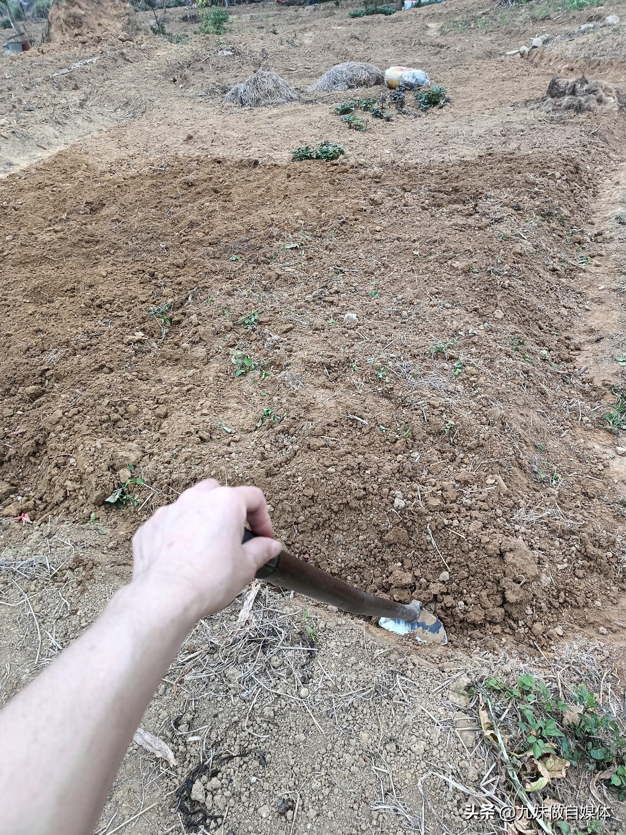 适当的干一下农活锻炼锻炼，不然骨头都硬完了。