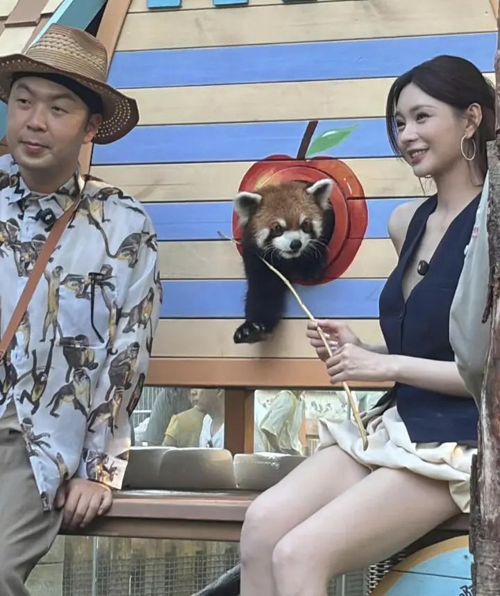沈梦辰全身涂粉配短裙，和杜海涛游银基动物王国，她真白啊女明星的美白执念，沈梦辰绝