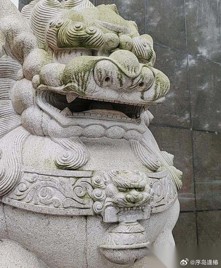 白鹿这事，真不是普通路人能搞出来的！那些老照片、老视频全网同步炸，爆发力明显有专