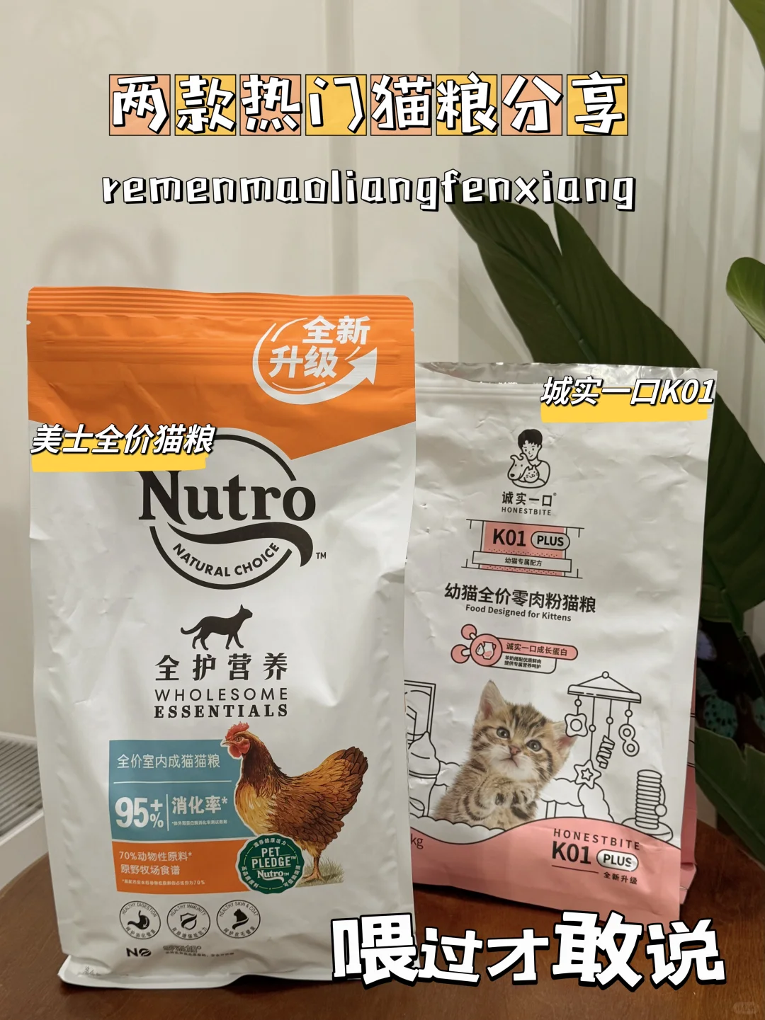 养猫人哪有不疯的？那款猫粮更适合？