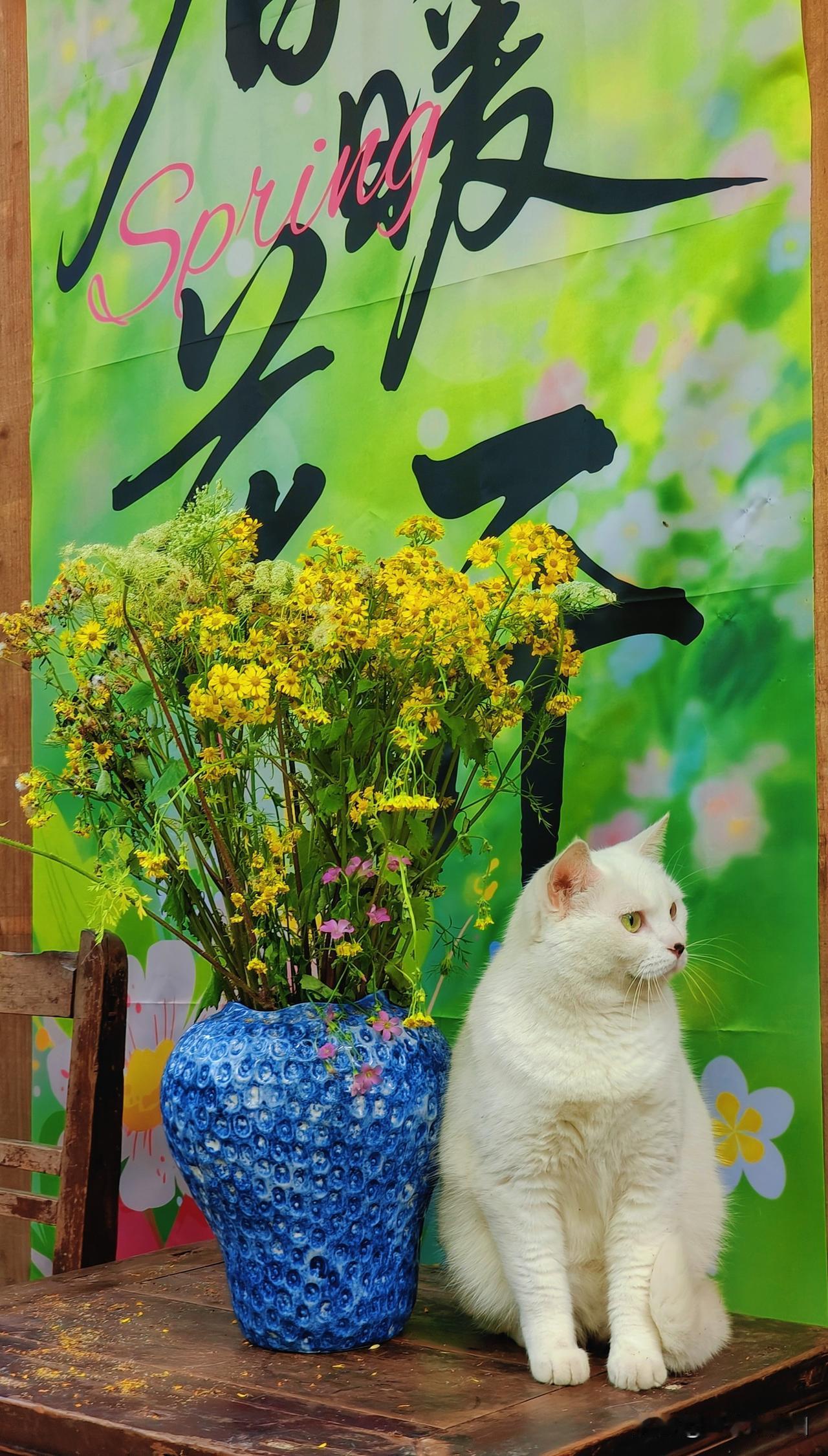 如果只保留一张，我应该留哪张？